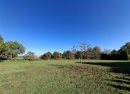Dzialka Sprzedaż